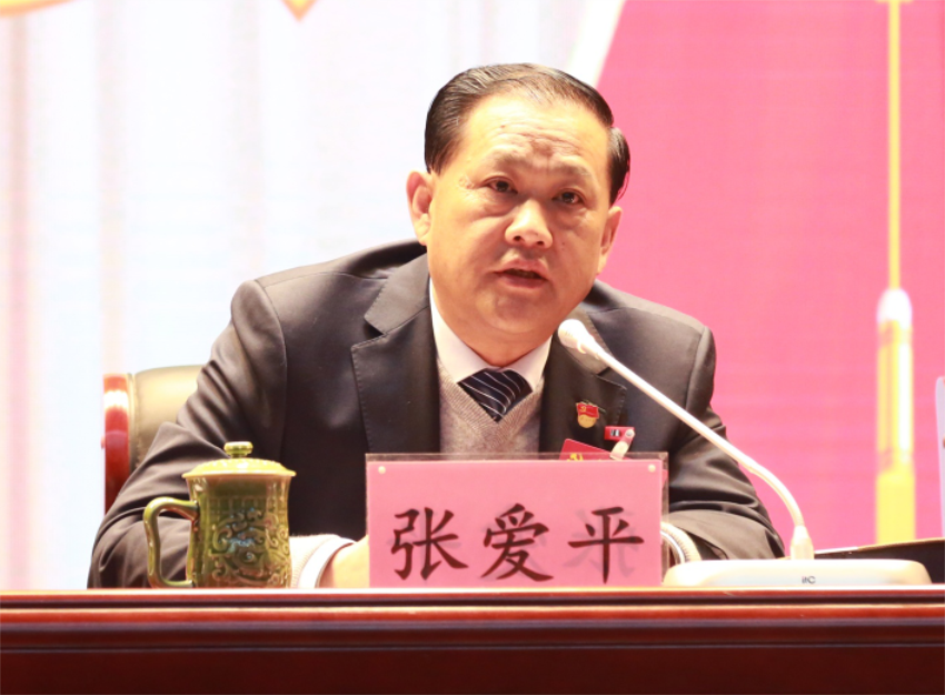 张爱平同志宣读中共LETOU.COM乐投第一届党委成员分工及纪委成员分工